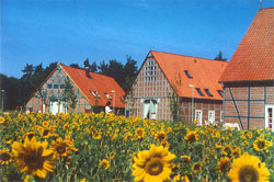 Wohnen im Wendland - Wohnungen Künstlerateliers Praxisräume Wohnen im Rundlingsdorf - Immobilien Wendland