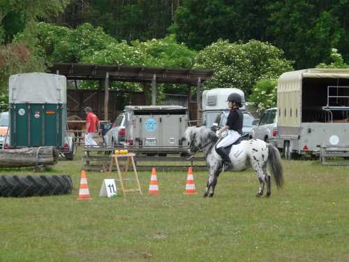 igs-pony-02-hitzacker.jpg