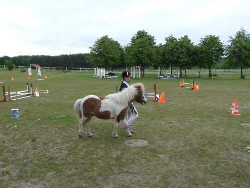 igs-pony-03-hitzacker.jpg