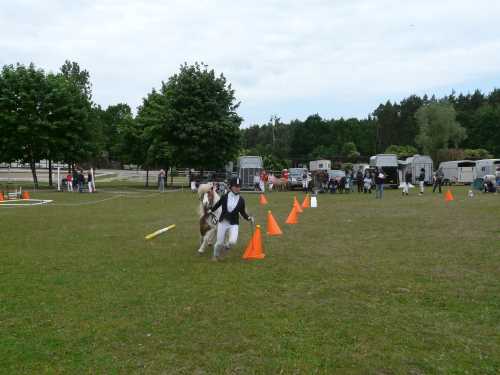 igs-pony-04-hitzacker.jpg