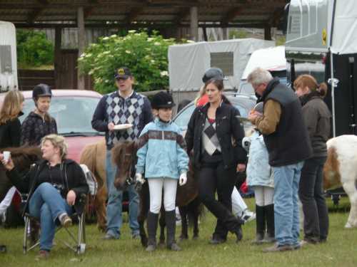 igs-pony-05-hitzacker.jpg