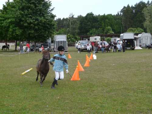 igs-pony-06-hitzacker.jpg