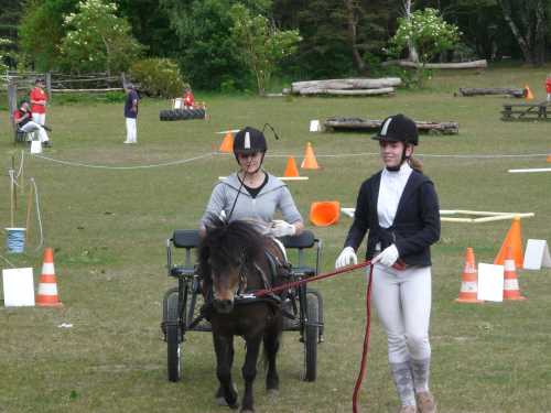 igs-pony-16-hitzacker.jpg
