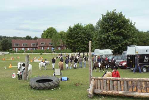 igs-pony-19-hitzacker.jpg