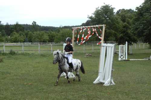 igs-pony-21-hitzacker.jpg