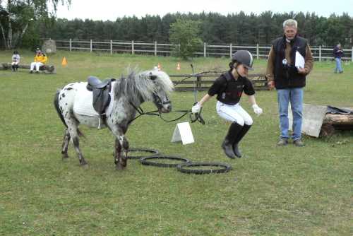 igs-pony-22-hitzacker.jpg