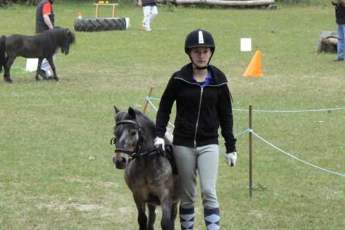 igs-pony-25-hitzacker.jpg