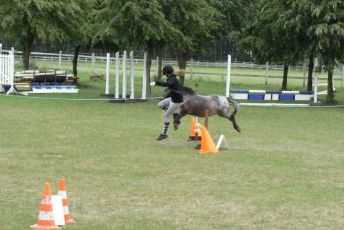 igs-pony-27-hitzacker.jpg