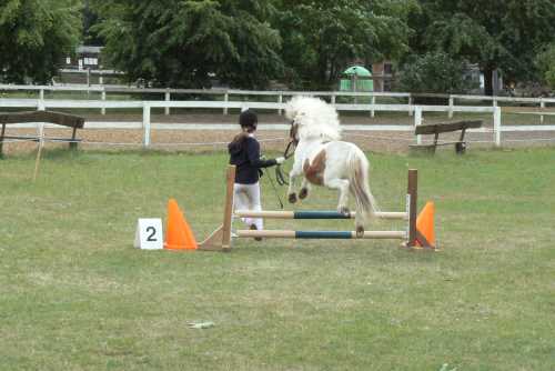 igs-pony-28-hitzacker.jpg