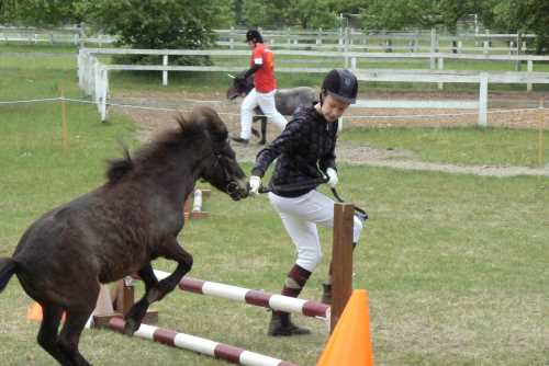 igs-pony-32-hitzacker.jpg