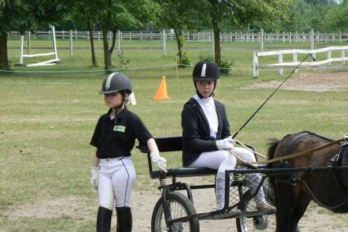 igs-pony-36-hitzacker.jpg
