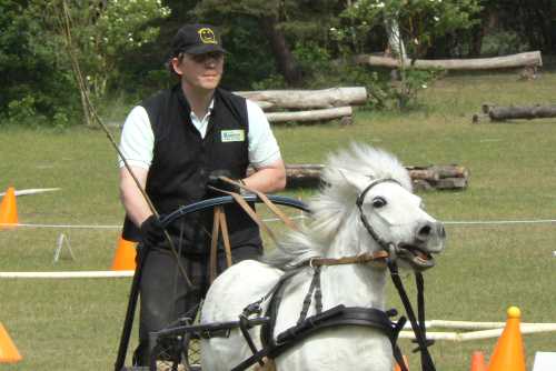 igs-pony-41-hitzacker.jpg