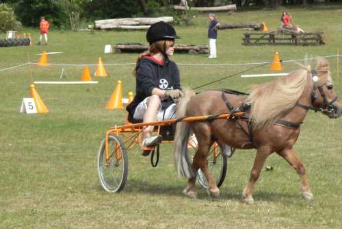 igs-pony-42-hitzacker.jpg