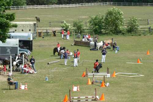 igs-pony-44-hitzacker.jpg