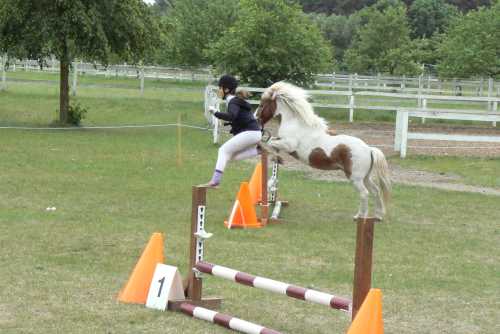 igs-pony-45-hitzacker.jpg