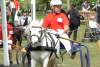 igs-pony-01-hitzacker.jpg