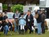 igs-pony-05-hitzacker.jpg