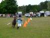 igs-pony-06-hitzacker.jpg