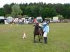igs-pony-07-hitzacker.jpg