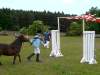 igs-pony-08-hitzacker.jpg