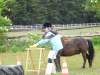 igs-pony-09-hitzacker.jpg