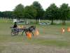 igs-pony-14-hitzacker.jpg