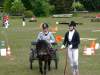 igs-pony-16-hitzacker.jpg