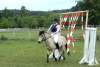 igs-pony-20-hitzacker.jpg