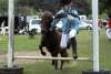 igs-pony-24-hitzacker.jpg