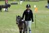 igs-pony-25-hitzacker.jpg