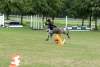 igs-pony-27-hitzacker.jpg