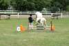 igs-pony-28-hitzacker.jpg