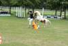 igs-pony-29-hitzacker.jpg