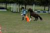 igs-pony-30-hitzacker.jpg