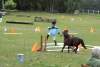 igs-pony-31-hitzacker.jpg