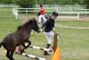 igs-pony-32-hitzacker.jpg