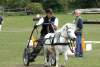 igs-pony-38-hitzacker.jpg