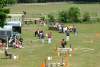 igs-pony-44-hitzacker.jpg