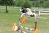 igs-pony-45-hitzacker.jpg
