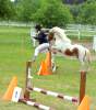 igs-pony-46-hitzacker.jpg