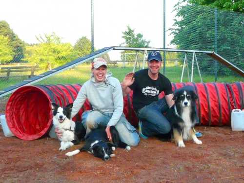 agility-01-hund.jpg