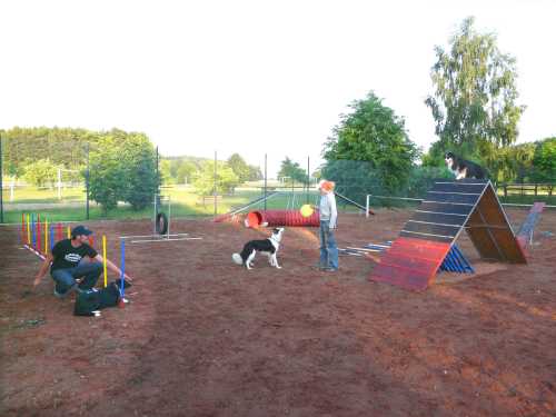 agility-08-hund.jpg