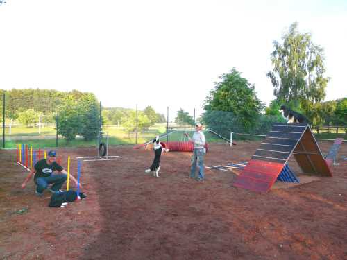 agility-09-hund.jpg