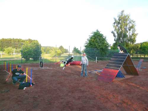agility-10-hund.jpg