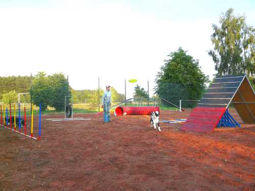 agility-11-hund.jpg