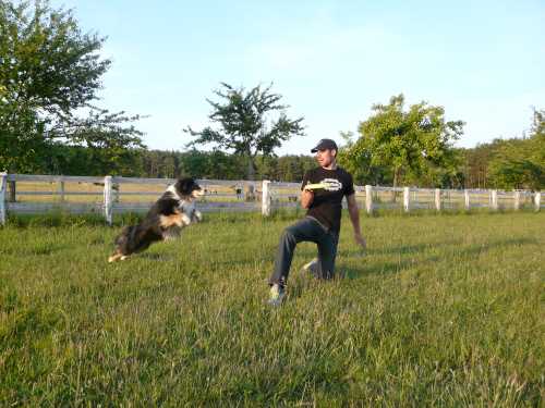 agility-19-hund.jpg