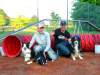 agility-01-hund.jpg