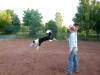 agility-04-hund.jpg