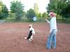 agility-05-hund.jpg