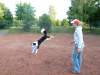 agility-07-hund.jpg